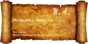 Medgyesi Amália névjegykártya